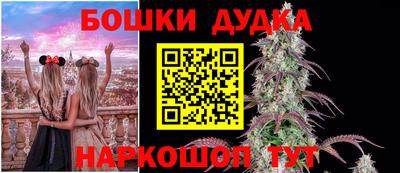 мдпв Пенза