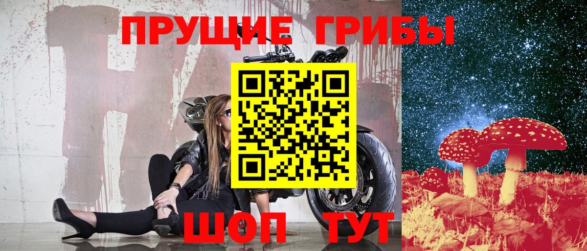 Саратов  Псилоцибиновые грибы Psilocybe  Вход с VPN 